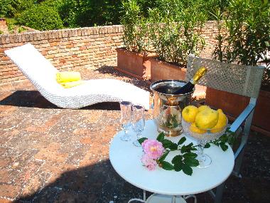 Villa in Montemaggiore al Metauro (Pesaro e Urbino) or holiday homes and vacation rentals