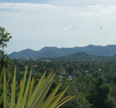 Villa in Koh Samui (Surat Thani) or holiday homes and vacation rentals