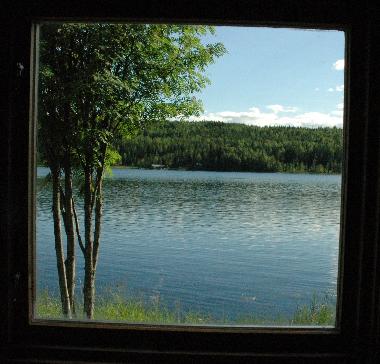 Stunning view from the hot room of the sauna building