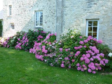 Holiday House in valognes (Manche) or holiday homes and vacation rentals