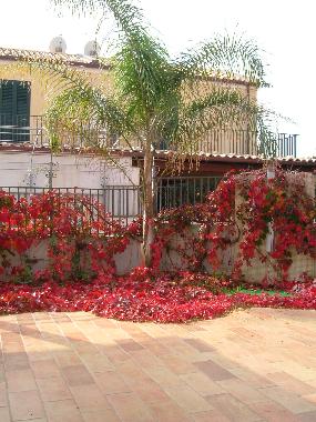 Villa in sampieri (Ragusa) or holiday homes and vacation rentals