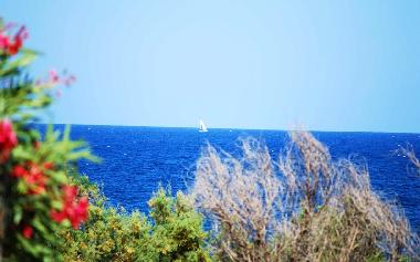 Holiday Apartment in la caletta (Nuoro) or holiday homes and vacation rentals