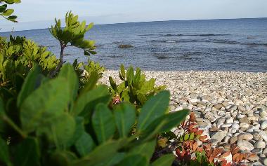 Holiday House in la caletta (Nuoro) or holiday homes and vacation rentals