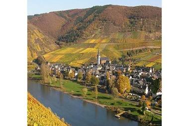 Holiday House in Bruttig-Fankel (Mosel - Saar) or holiday homes and vacation rentals
