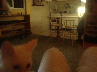 Holiday Apartment in S�o Paulo (Sao Paulo) or holiday homes and vacation rentals