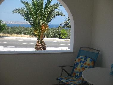 Nearby the road and the sea