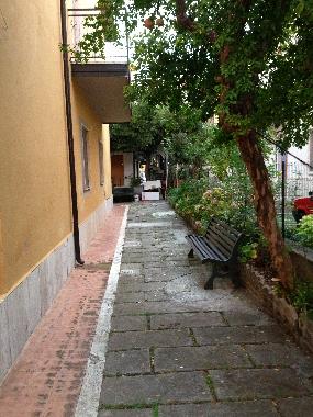 Garden and external shower