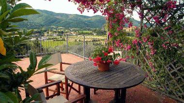 Holiday Apartment in castiglion fiorentino (Arezzo) or holiday homes and vacation rentals