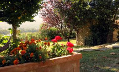 Holiday Apartment in castiglion fiorentino (Arezzo) or holiday homes and vacation rentals