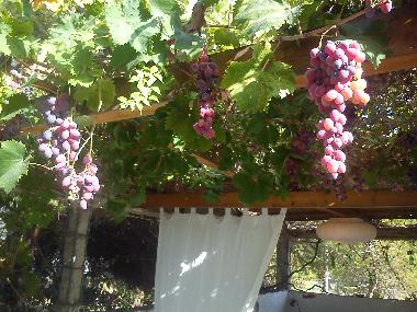 Villa in preveza (Preveza) or holiday homes and vacation rentals