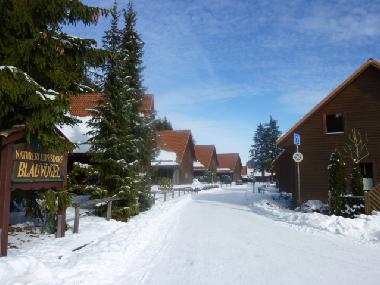 Holiday House in Hasselfelde (Harz) or holiday homes and vacation rentals