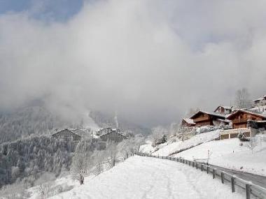 Holiday Apartment in Vionnaz (Vionnaz) or holiday homes and vacation rentals