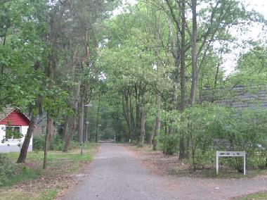 park