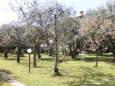 The garden and the fruit trees at spring