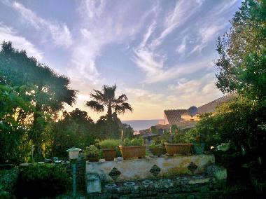 Back garden with sea view (west side)