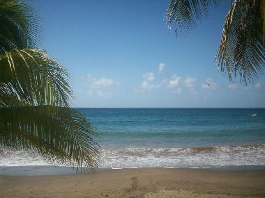 Holiday House in les anses d'arlet (Martinique) or holiday homes and vacation rentals