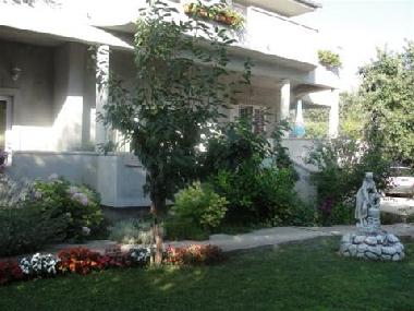 Holiday Apartment in Petrcane (Zadarska) or holiday homes and vacation rentals