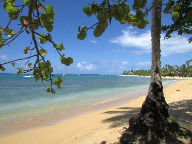 Holiday House in Las Terrenas (Samana) or holiday homes and vacation rentals