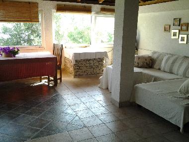 More living room area...