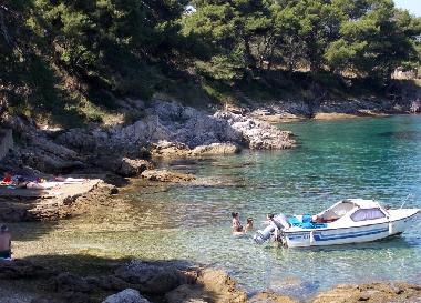 Holiday Apartment in Preko (Zadarska) or holiday homes and vacation rentals