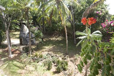 Large garden