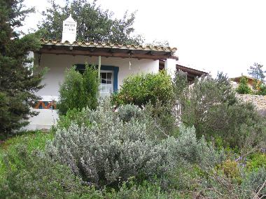 Holiday Apartment in Sao Bras de Alportel (Algarve) or holiday homes and vacation rentals