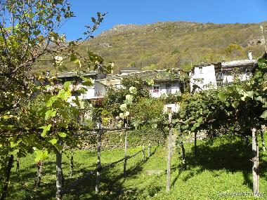 Holiday House in Colloro (Verbano-Cusio-Ossola) or holiday homes and vacation rentals
