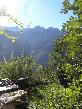 Holiday House in Colloro (Verbano-Cusio-Ossola) or holiday homes and vacation rentals