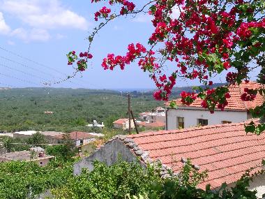 Holiday House in CHANIA (Chania) or holiday homes and vacation rentals