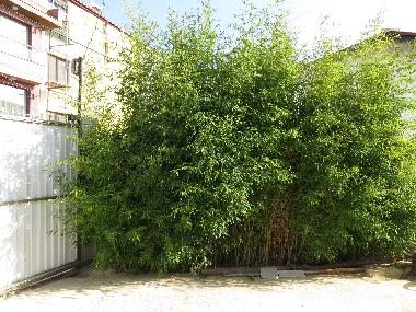 Holiday House in Varna (Varna) or holiday homes and vacation rentals