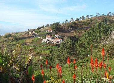 Holiday House in Faj da Ovelha (Madeira) or holiday homes and vacation rentals