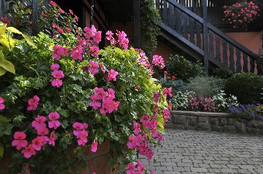 Holiday Apartment in BERGHEIM (Haut-Rhin) or holiday homes and vacation rentals