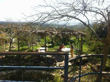 view of garden and valley below