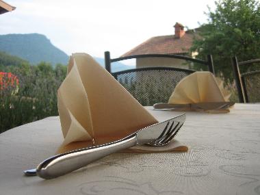 Holiday Apartment in Tolmin (Tolmin) or holiday homes and vacation rentals