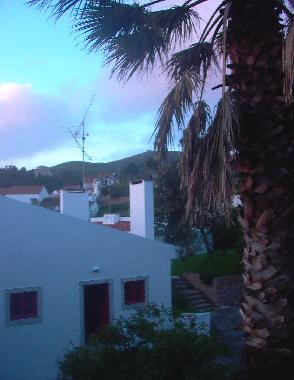 View from the garden to the house