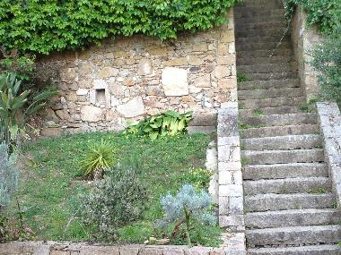 The Garden