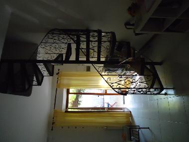 Holiday Apartment in Montignoso (Massa-Carrara) or holiday homes and vacation rentals