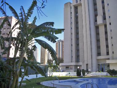 Holiday Apartment in Benidorm (Alicante / Alacant) or holiday homes and vacation rentals