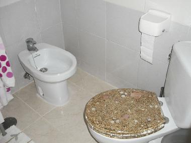 Holiday Apartment in Benidorm (Alicante / Alacant) or holiday homes and vacation rentals