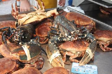 Fresh seafood from St Renan market