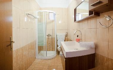 Ground floor WC shower