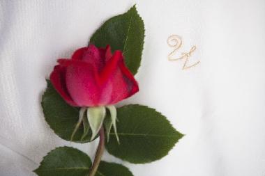 Holiday House in Duce (Splitsko-Dalmatinska) or holiday homes and vacation rentals