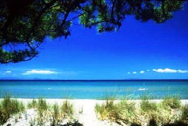 Chalet in roccastrada (Grosseto) or holiday homes and vacation rentals