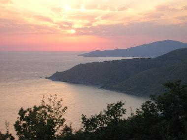 Villa in Pisciotta (Salerno) or holiday homes and vacation rentals