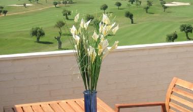Holiday Apartment in Rota (Cdiz) or holiday homes and vacation rentals