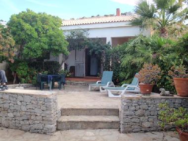 Front garden (north side)