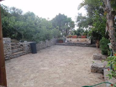 Back garden