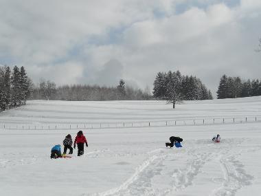 Villa in 88520 (Vosges) or holiday homes and vacation rentals