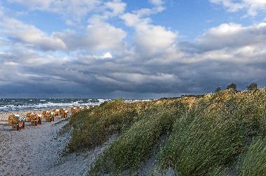 Holiday House in Ahrenshoop-Niehagen (Fischland-Dar�-Zingst) or holiday homes and vacation rentals