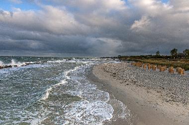 Holiday House in Ahrenshoop-Niehagen (Fischland-Dar�-Zingst) or holiday homes and vacation rentals